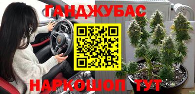 трава Партизанск