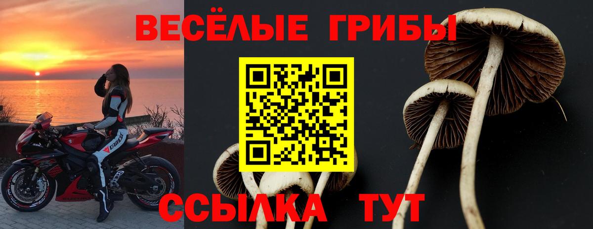 Галлюциногенные грибы мухоморы Сызрань
